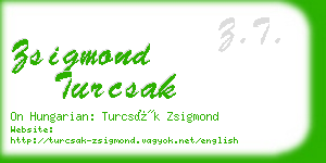 zsigmond turcsak business card